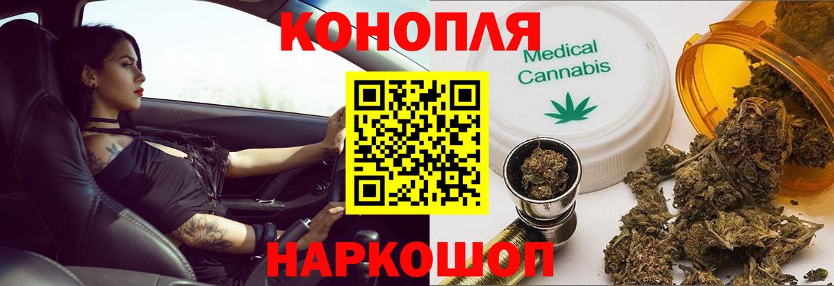 Конопля гибрид Черняховск